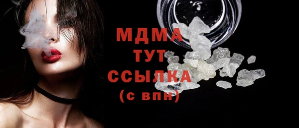 spice Бородино