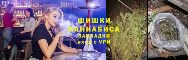 spice Бородино