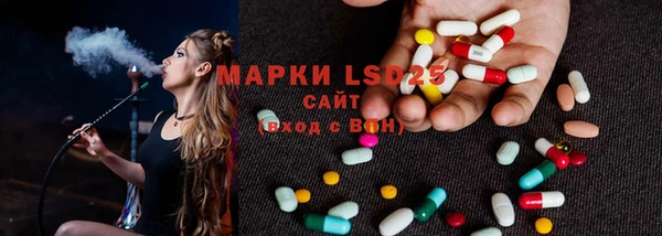 spice Бородино