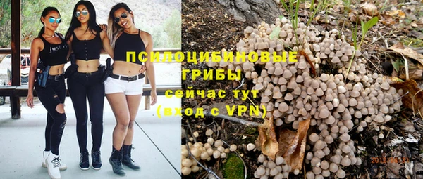 spice Бородино