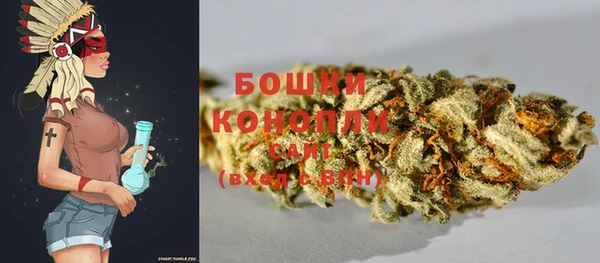 spice Бородино